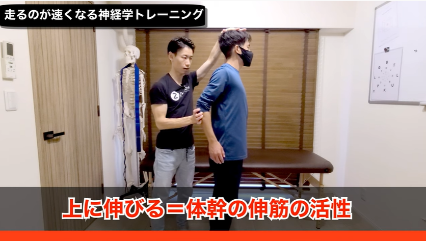 <strong>【神経学】足が速くなるトレーニング</strong>