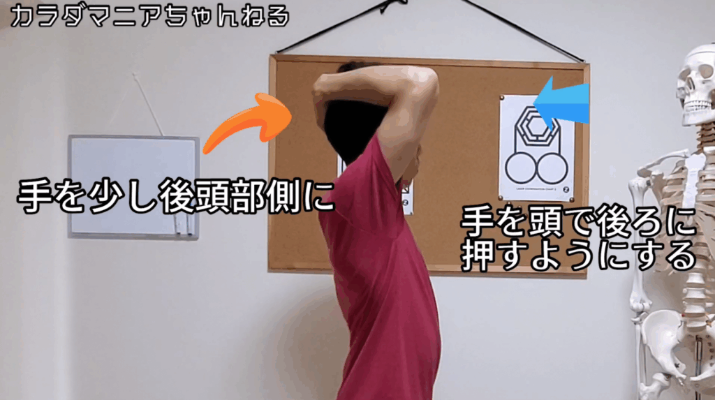 ガンコな首こりは〇〇をストレッチ！？【たった3分】