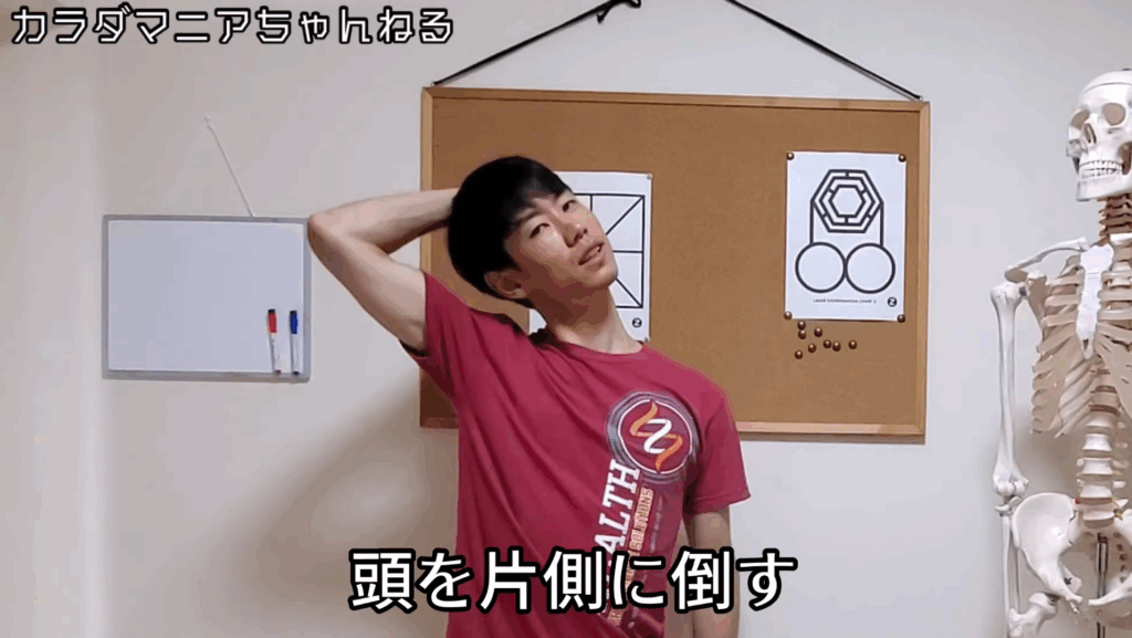 ガンコな首こりは〇〇をストレッチ！？【たった3分】